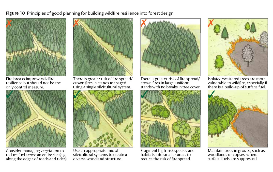 Figure 10 Principles of good planning for building wildfire resilience into forest design.