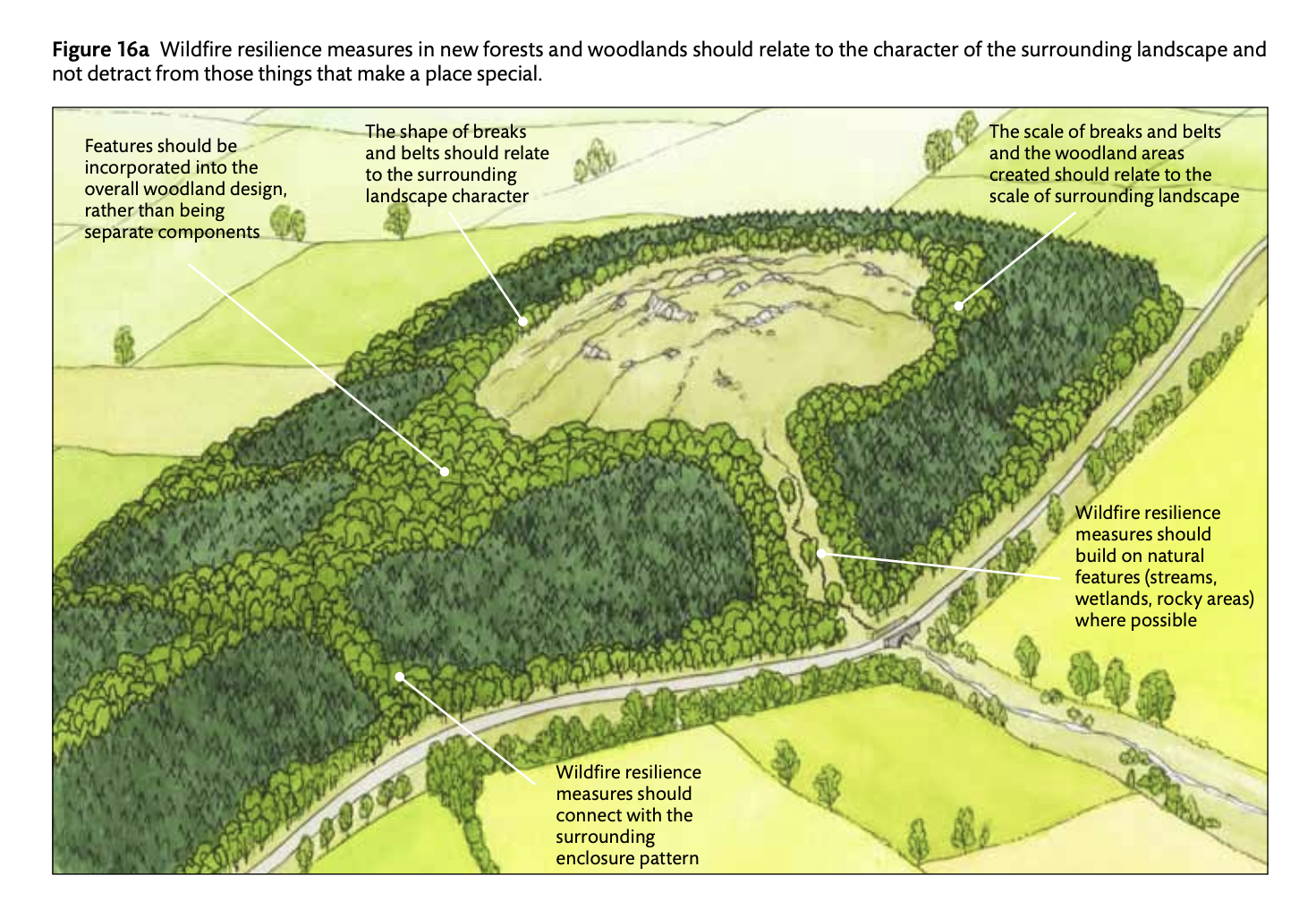 Figure 16a Wildfire resilience measures in new forests and woodlands should relate to the character of the surrounding landscape.