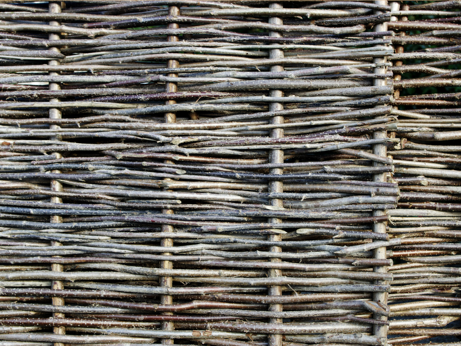 Hazel hurdle weaving